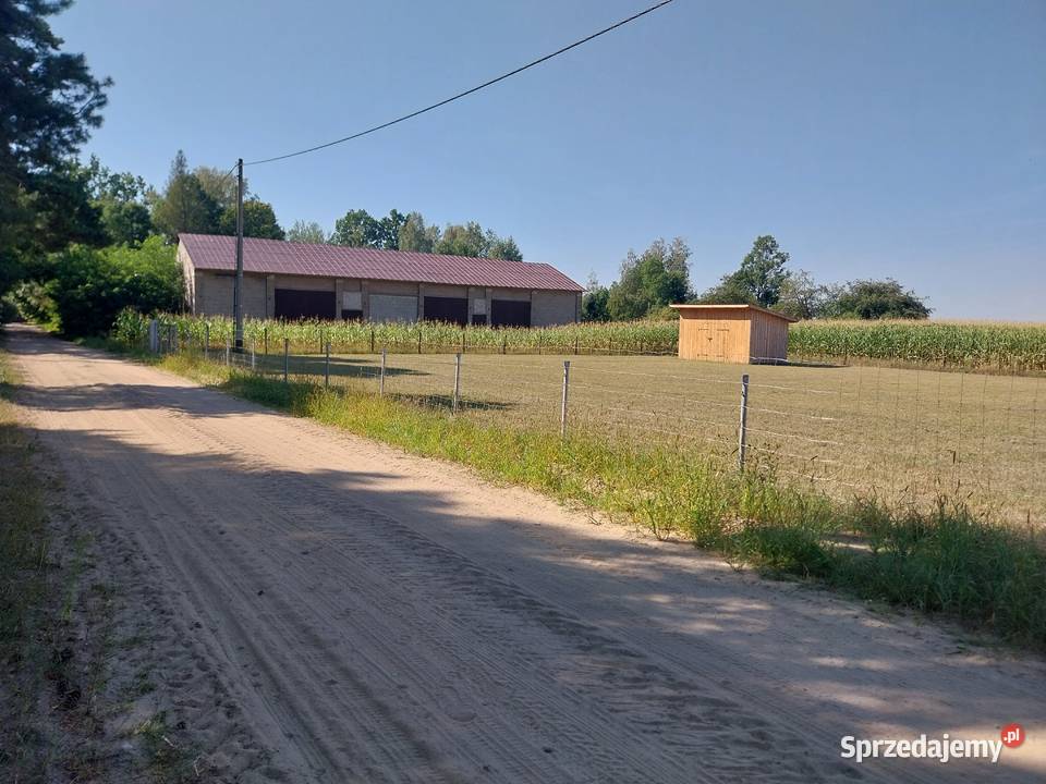Działka budowlana 13a Miedzna