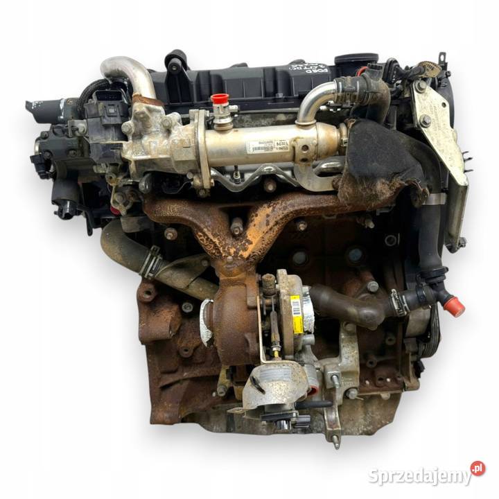 SILNIK QXBA Ford Mondeo IV MK4 20 TDCI 140 Chełm