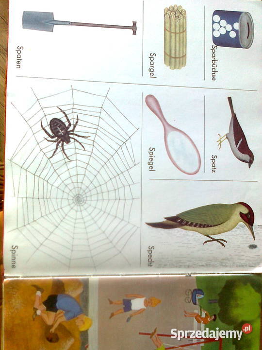 Mein erstes Brockhaus Warszawa