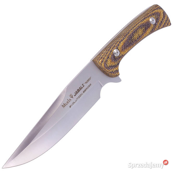 Nóż Muela Jabali Brown Micarta Satin 170mm Warszawa