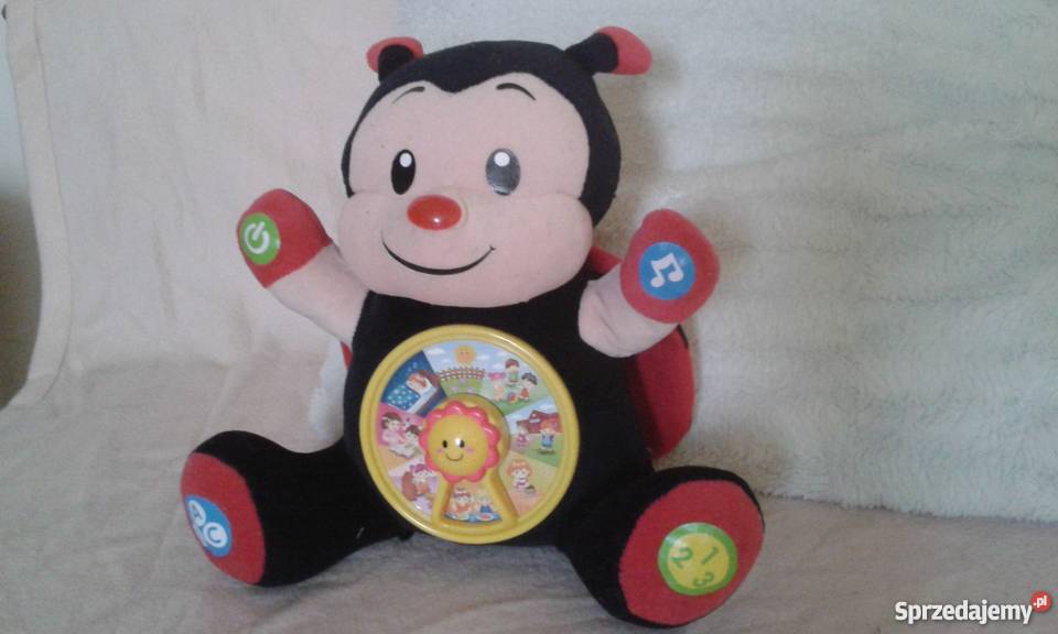 Biedroneczka Haneczka kujawsko-pomorskie Toruń