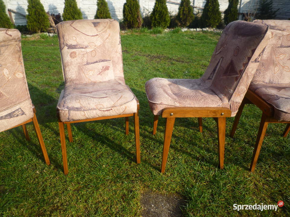 Krzesła Agamuszelki dębowy stelaż Ostrzeszów