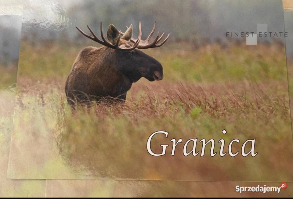 Grunt 1845 metrów Podkampinos Jagodowa 44m Sprzedaż