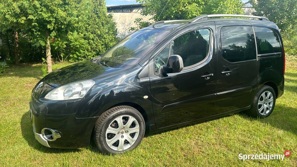 Peugeot Partner II Tepee 16 benzyna 170764km