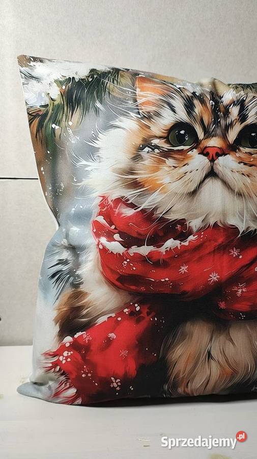 Poszewka na poduszkę Łódź