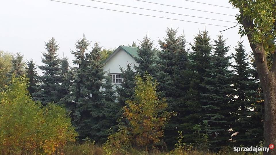 Sprzedam dom w Szczebrzeszynie Szczebrzeszyn