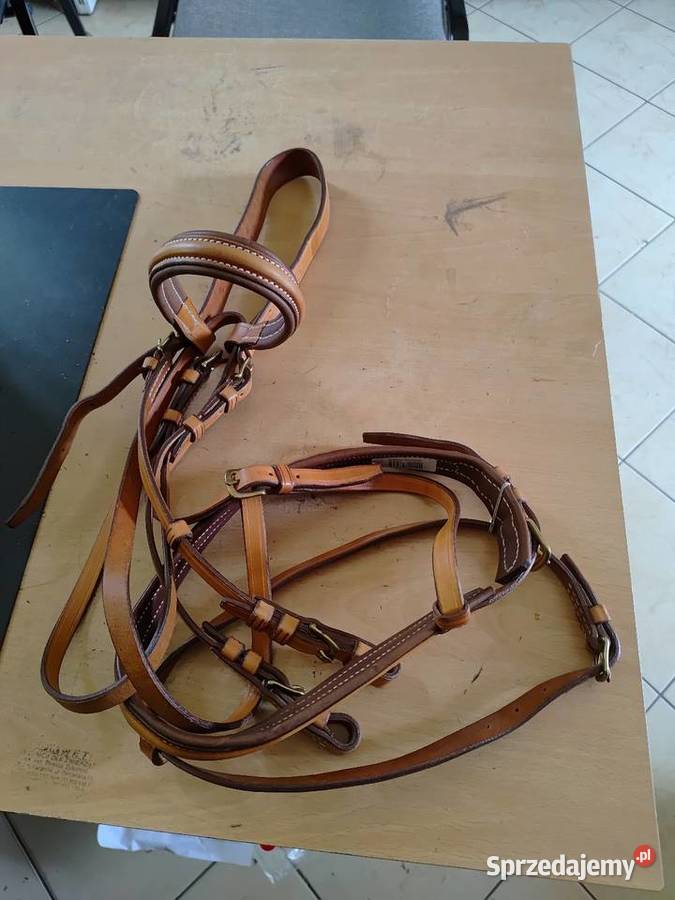 BRYCZESY GRAND PRIX Z PEŁNYM LEJEM 52 mazowieckie sprzedam