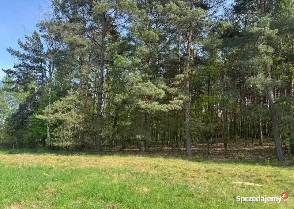 Zielona Góra Racula działka budowlana na