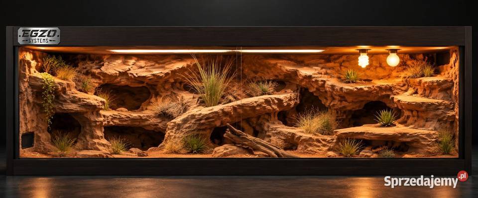 Terrarium pustynne gekona lamparciego żółwia Dąbrowa Górnicza sprzedam