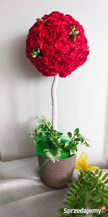 Drzewka kwiatowe Sędziszów Małopolski