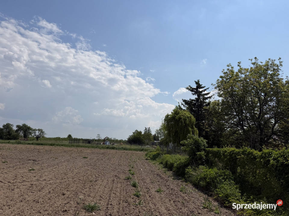 Siedlisko z lasem i łąką Zawady gm Kampinos 61037m2