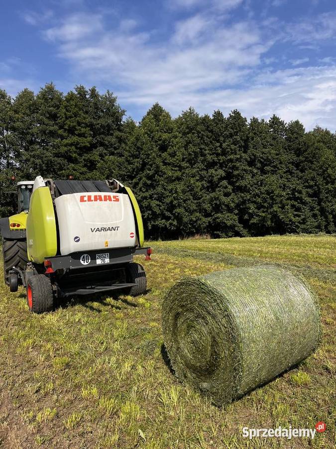 Sianokiszonka z lucerny 2025 Lipno