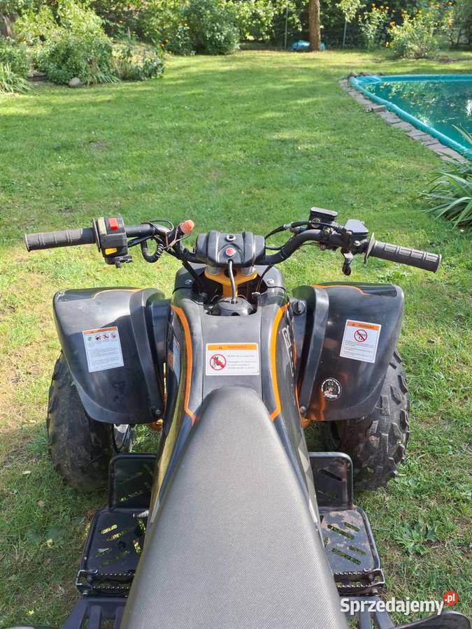 quad kayo 125cc Werbkowice sprzedam