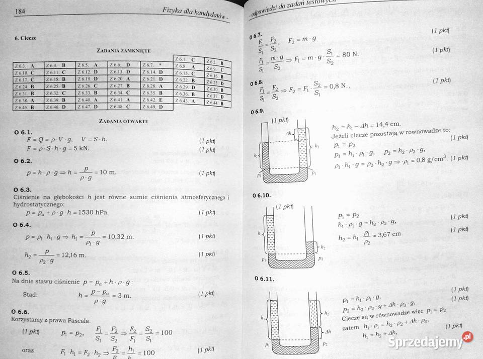 Fizyka Wybór testów Tom 1 Andrzej Persona miękka Chełm