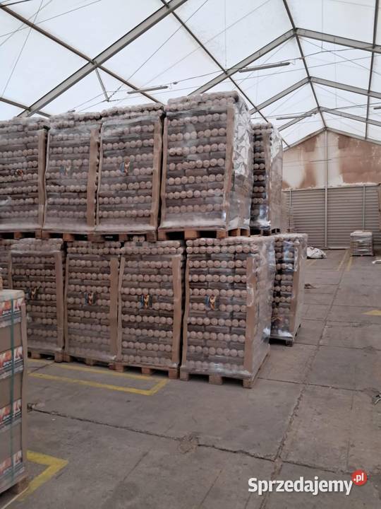 Opał kominkowy ecomax brykiet drzewny pakowany 6 Chodzież
