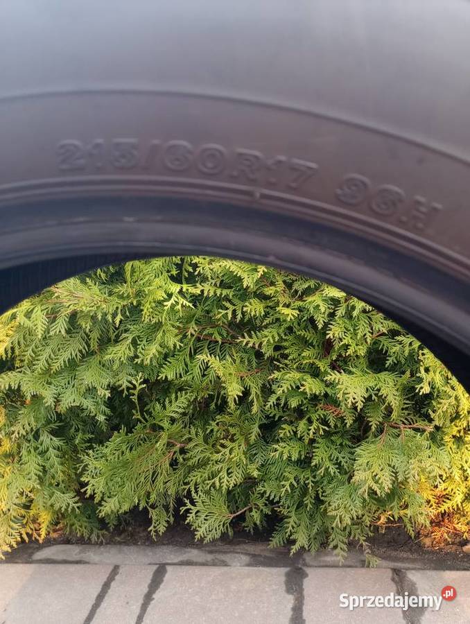 Opony letnie Bridgestone premium nowe 17cale Augustów