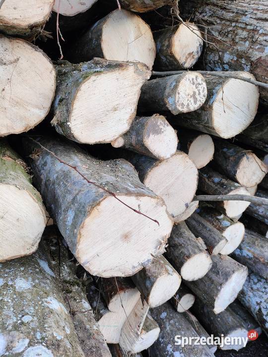 Drewno kominkowe opałowe grab Opał