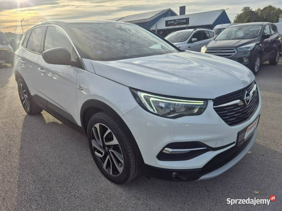 Opel Grandland X 12Turbo 130 Biała Perła manualna Gniewkowo