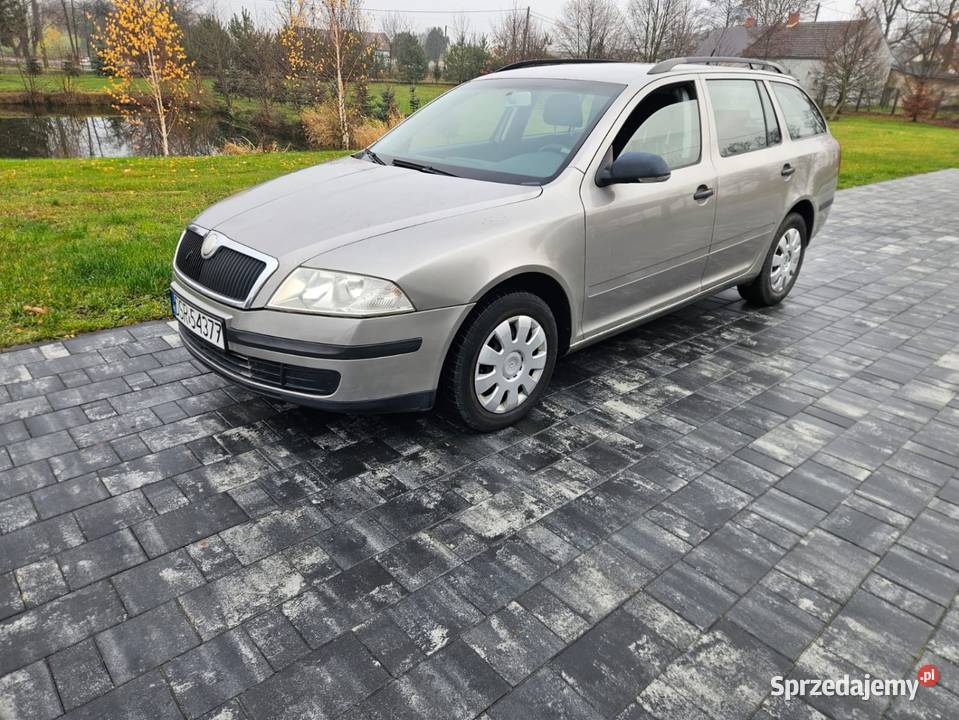Skoda octavia II 19 tdi Salon Polska manualna Wieruszów
