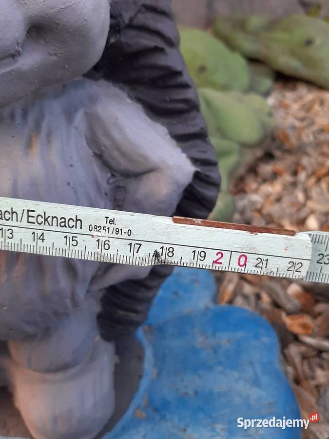 Ozdobny betonowy jeżyk