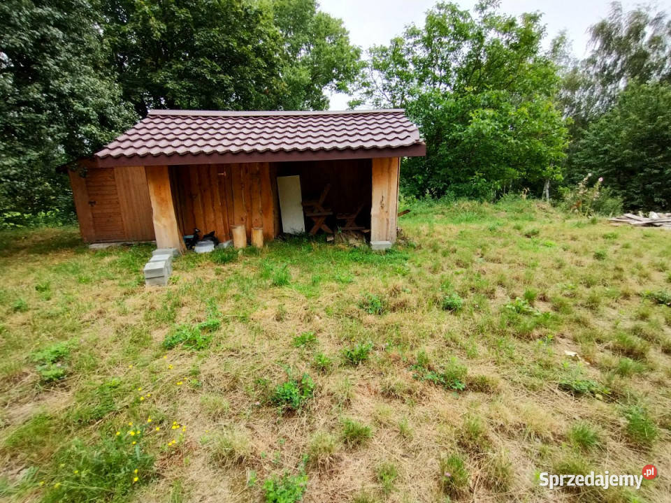 sprzedaży gruntu 2950 metrów Lisów