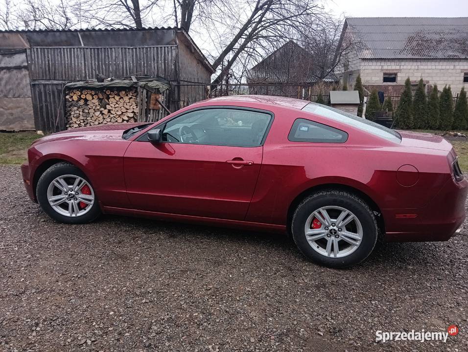 Ford Mustang 3 7 benzyna 2014 Krasnystaw