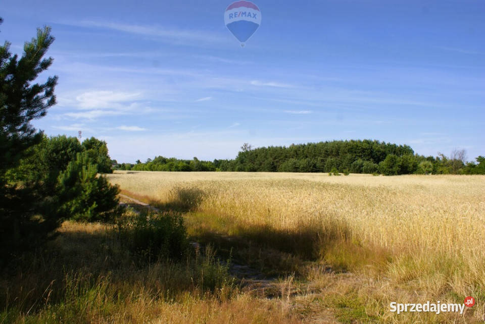 Działka budowlana 3000 m Ruda Radzymin 58m