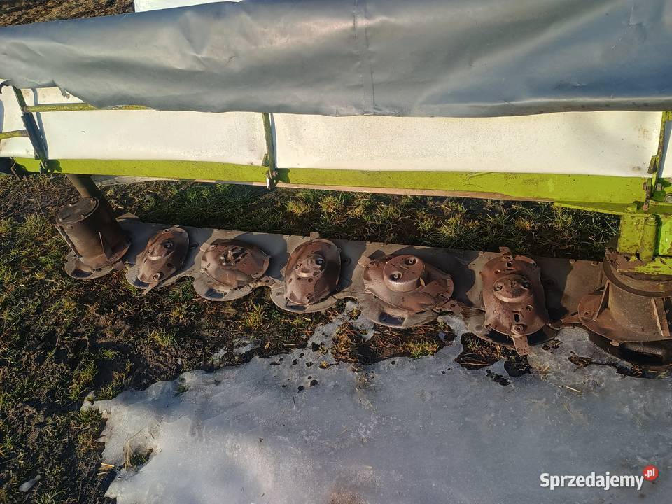 Sprzedam Rotacyjne podlaskie Stołowacz