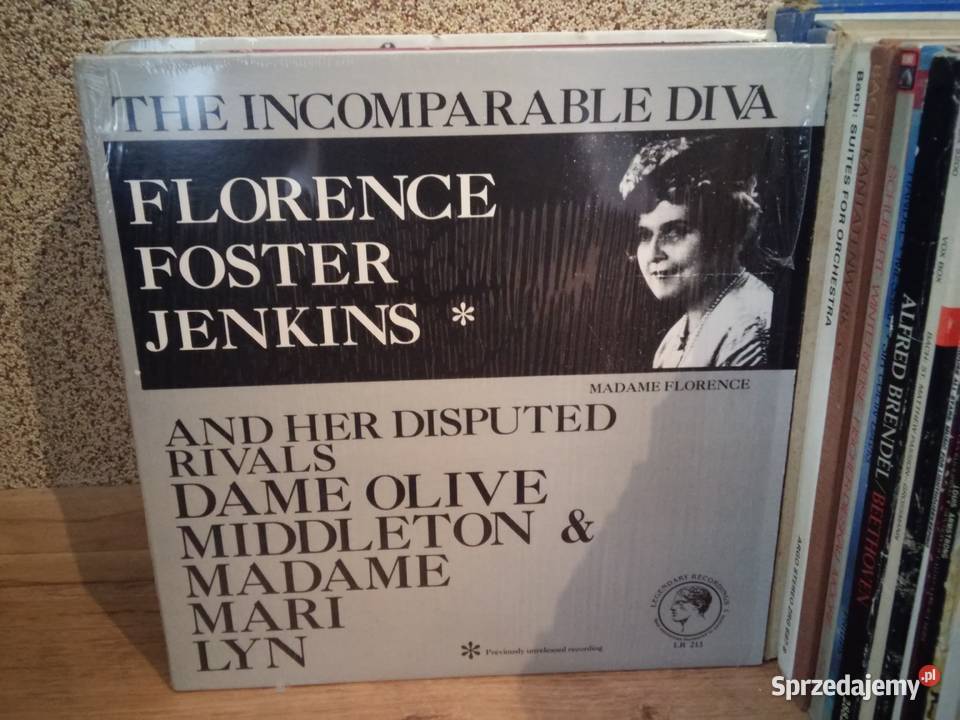 Kolekcja 170 płyt winylowych całość w transzach Włocławek