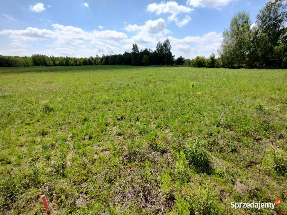 Grunt 2583m2 Pryszczowa Góra 2583m2