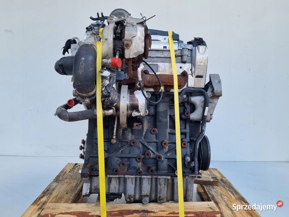 SILNIK KOMPLET Audi A3 III 8V 16 TDI 105 ładnie Rudka