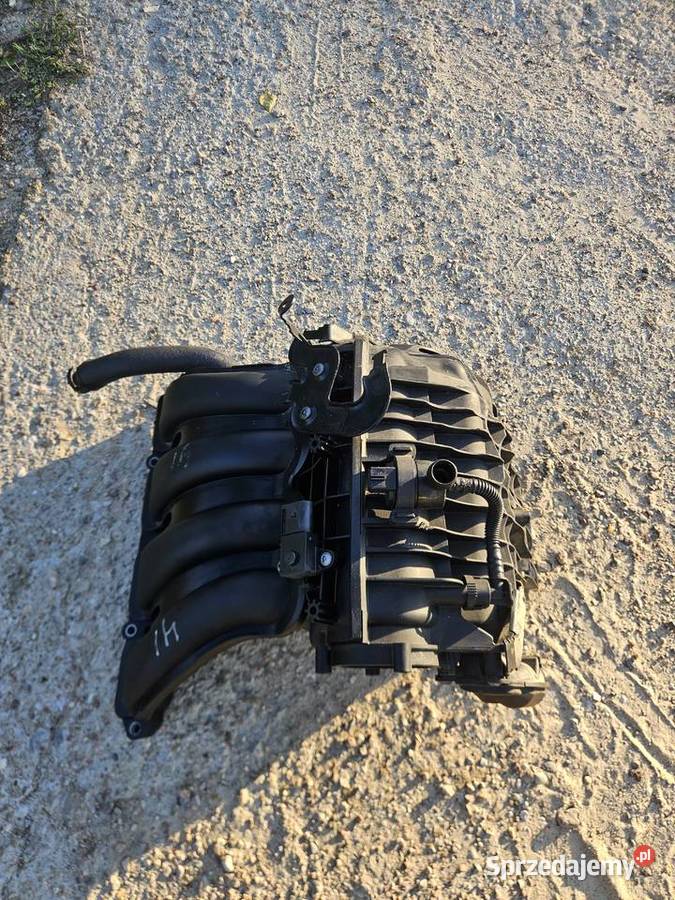 Kolektor n43 osobowe Kartuzy