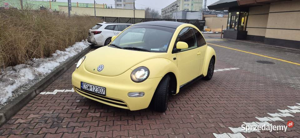 VW Beetle New Beetle kujawsko-pomorskie