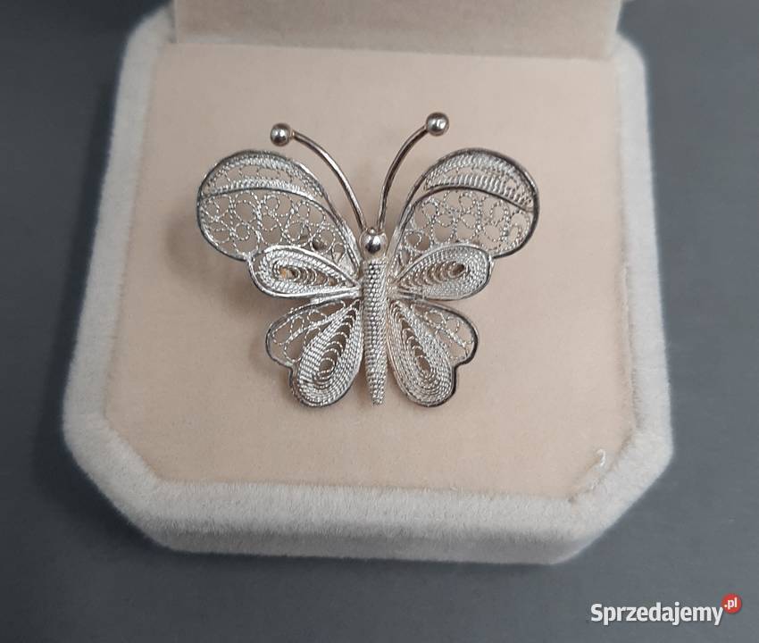 Motyl broszka Lublin