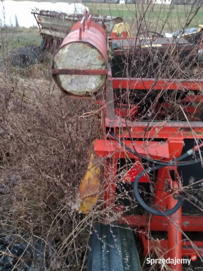 Wyorywacz lubelskie Piotrków Drugi