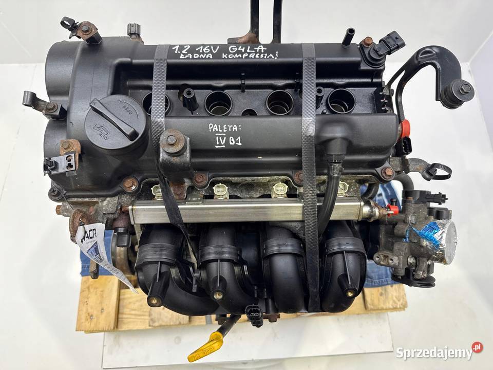 SILNIK Hyundai i10 i20 i30 14 16V KOMPLETNY osobowe Rudka