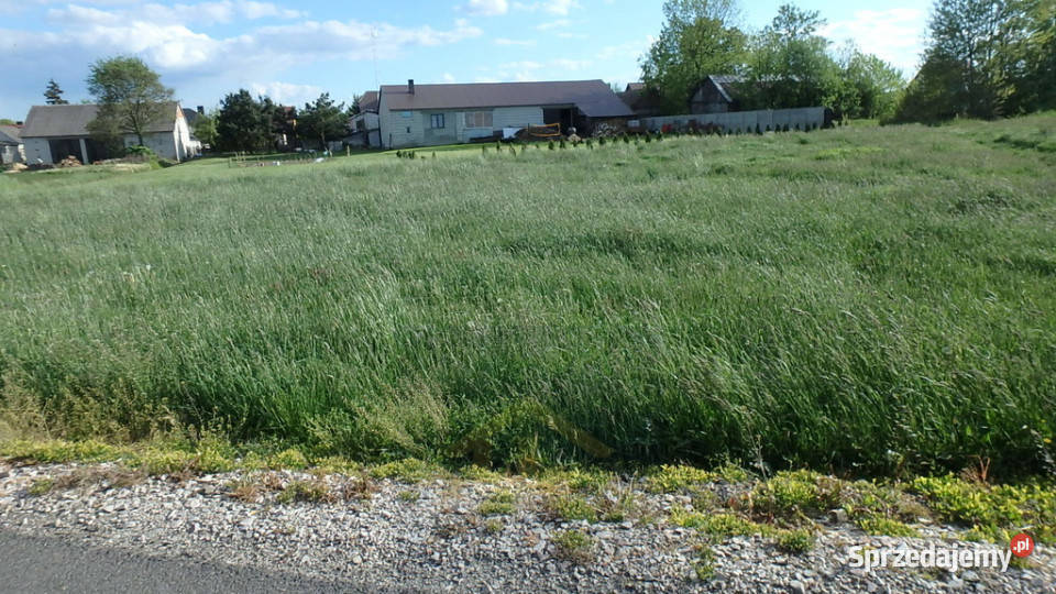 Działka w Lubicach asfalt Lubice sprzedam