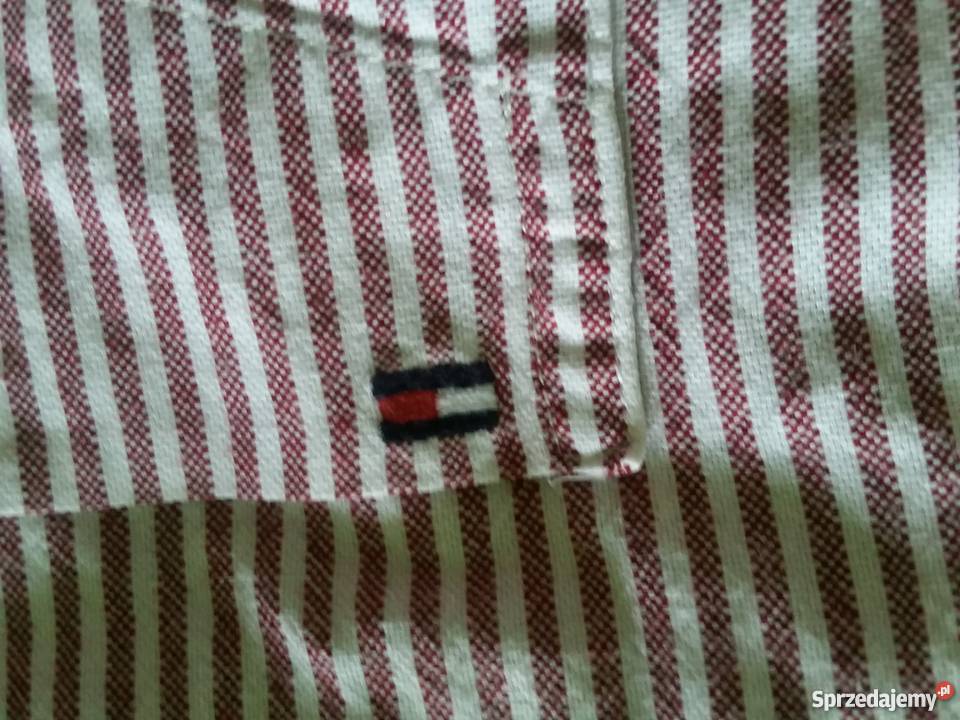 XL Tommy Hilfiger koszula męska nadruki świętokrzyskie Kielce