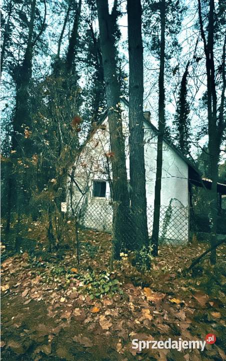 Dwa domy na pięknej działce 35 Warszawy OKAZJA Osieck sprzedam