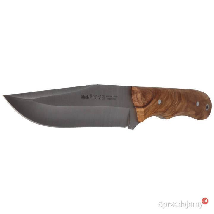 Nóż Muela Full Tang Olive Wood Satin X50CrMoV15 Warszawa