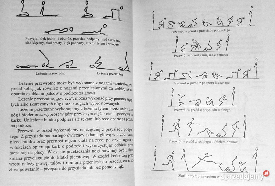 Wybrane zagadnienia wychowania fizycznego w Rok wydania 1997 sprzedam