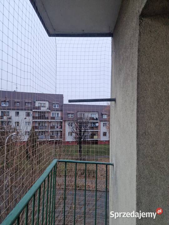 Montaż siatki kolców przeciw ptakom na balkonie