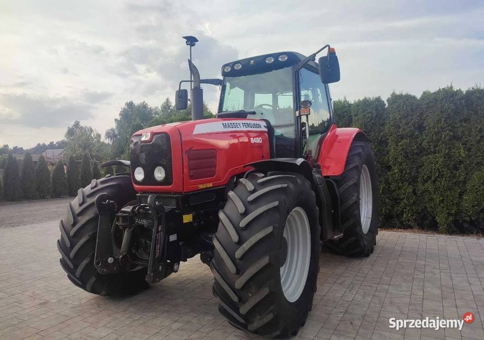 Massey Ferguson 6490 Grabów Szlachecki