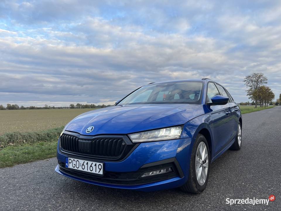 Skoda Octavia Polski Salon Borzysław
