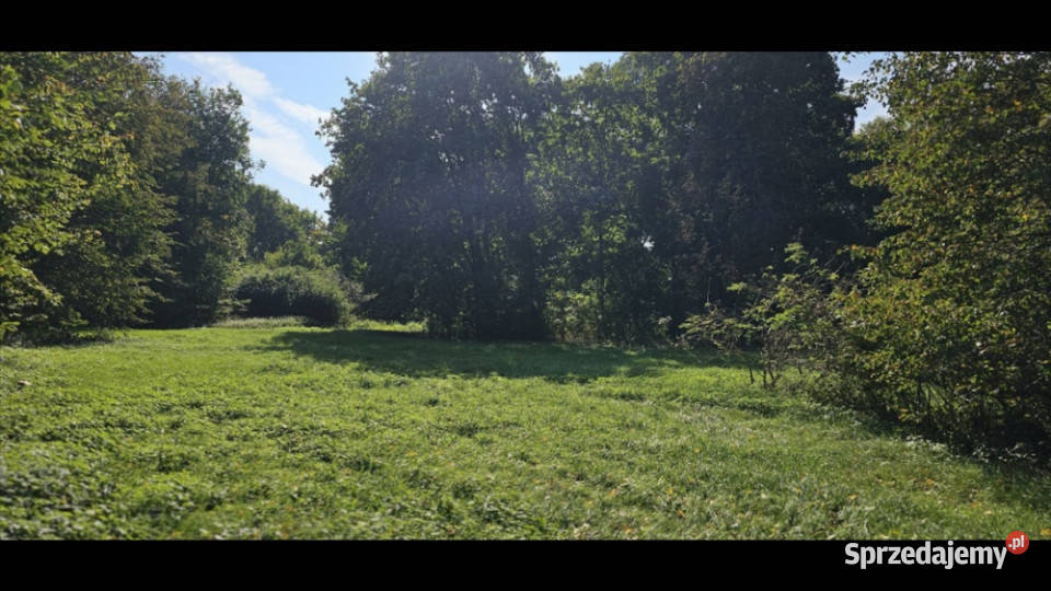 Unikatowy park pod Warszawą mazowieckie Kiełki