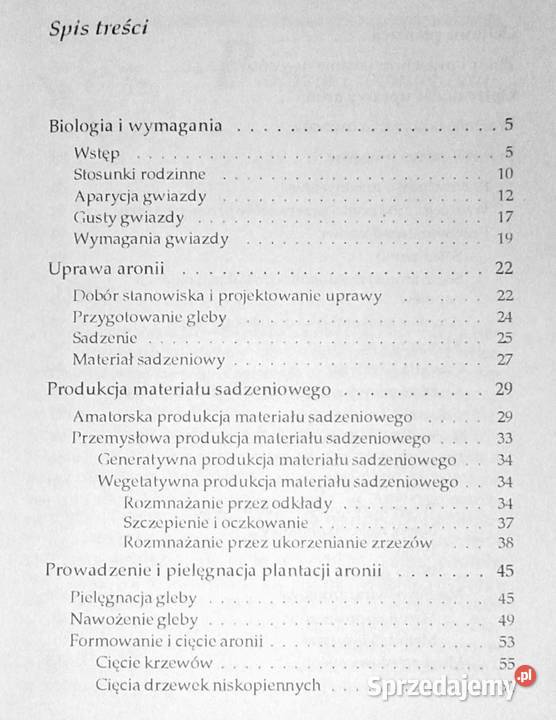 Aronia czarnoowocowa Zbigniew Laurow Chełm