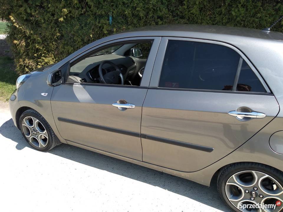 Kia Picanto 12 Business Line 2016 I właściciel Sandomierz