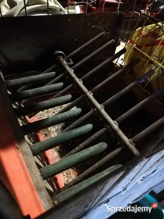 Maszyna kalafior brokuł tasmociag Górne sprzedam