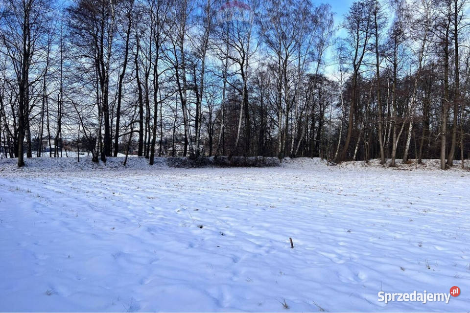 Jasienica działka pod zabudowę jednorodzinną Sprzedaż