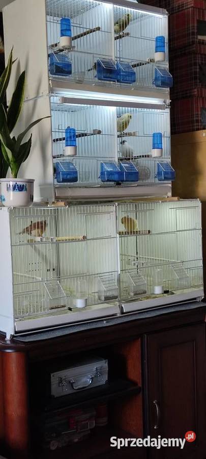 Klatki ptaków Krosno